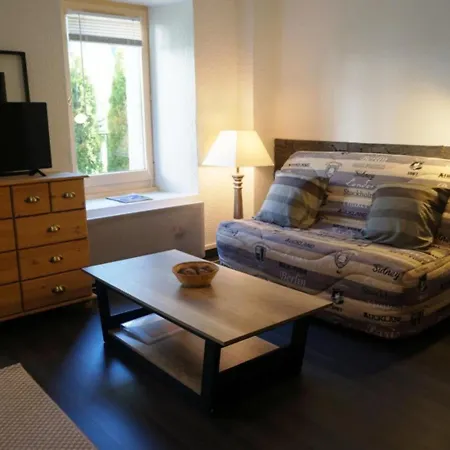 Cosy Au Centre De Avec Jardin, 2 Pièces, Bien équipé, Accepte Animaux - Fr-1-507-29 Chamonix