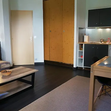 Cosy Au Centre De Avec Jardin, 2 Pièces, Bien équipé, Accepte Animaux - Fr-1-507-29 Chamonix