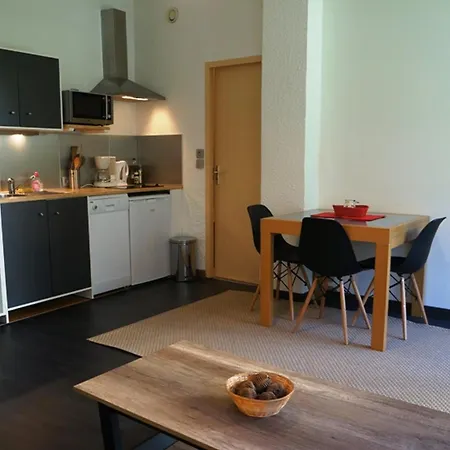 Cosy Au Centre De Avec Jardin, 2 Pièces, Bien équipé, Accepte Animaux - Fr-1-507-29 * Chamonix