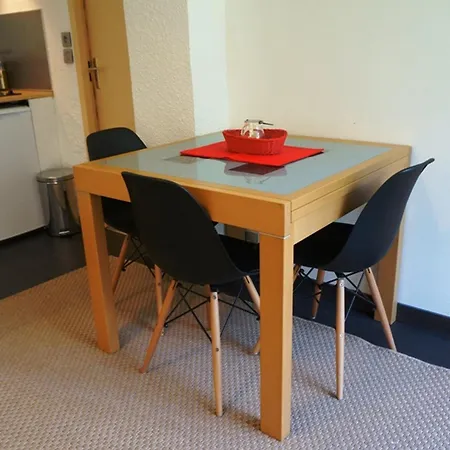 Cosy Au Centre De Avec Jardin, 2 Pièces, Bien équipé, Accepte Animaux - Fr-1-507-29 Chamonix